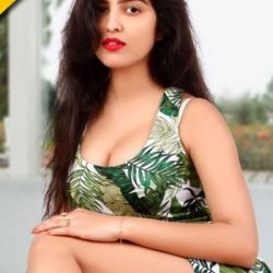 Escorts Service in Sector-60